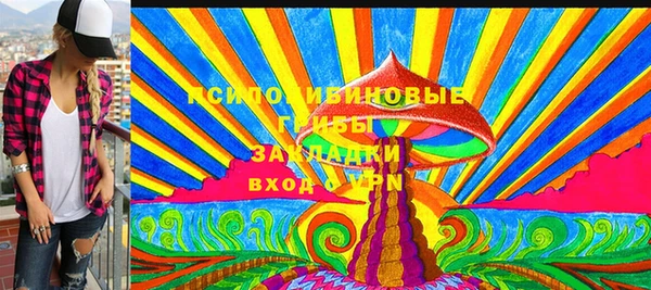 мдпв Балахна