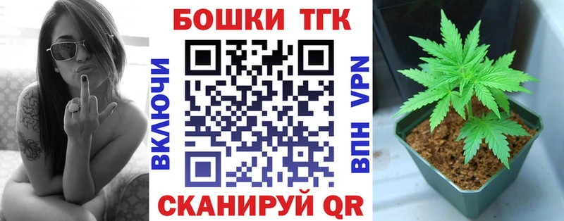 Конопля сатива  Верея 
